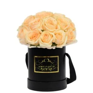 جعبه گل آریتا