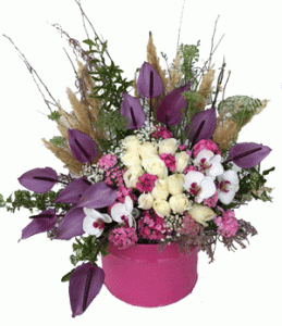 جعبه گل هلینا
