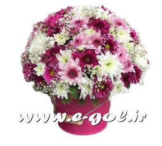 سطل گل آتیلا
