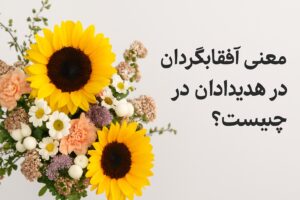 گل آفتابگردان