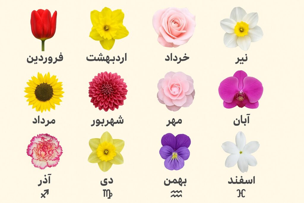 گل ماه تولد