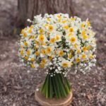 دسته گل نرگس شیراز