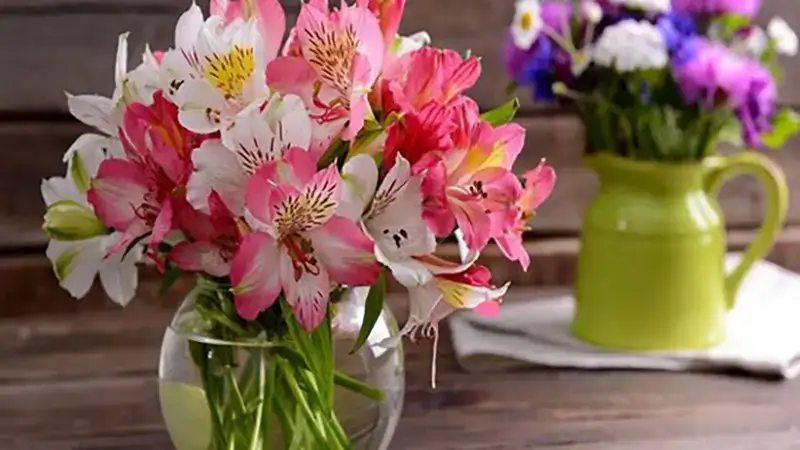 گل های شاخه بریده با ماندگاری بالا