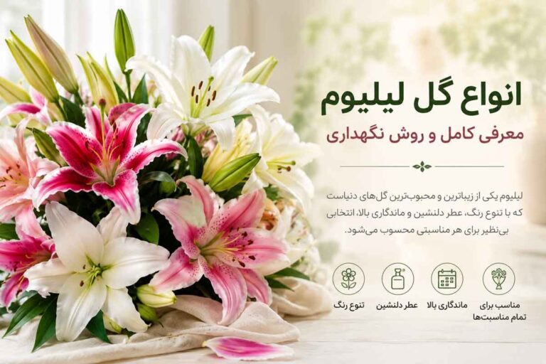 انواع گل لیلیوم؛ معرفی کامل و روش نگهداری